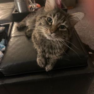 Meet your Posher, Deeanna